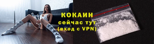 стаф Богородицк