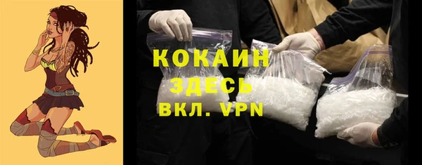 шишки Богородск