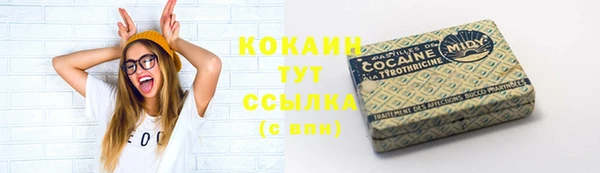 шишки Богородск