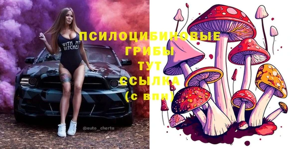 стаф Богородицк