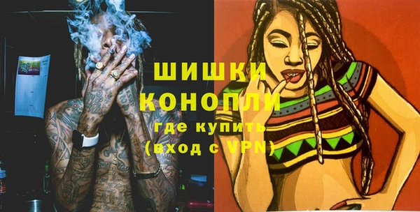 шишки Богородск