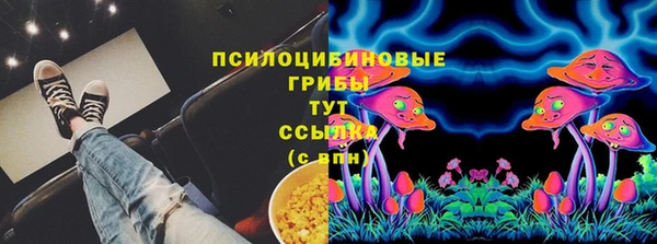стаф Богородицк