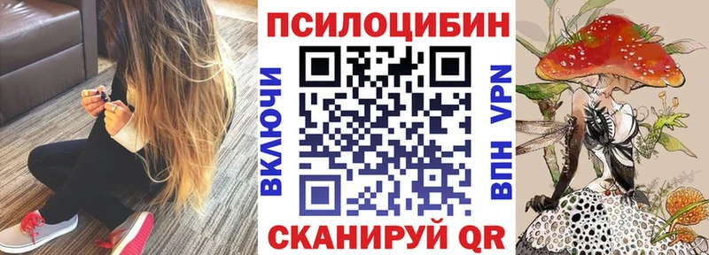 Купить закладки  Закаменск  Псилоцибиновые грибы Psilocybe 
