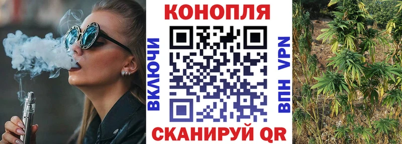 Шишки марихуана White Widow  Купить закладки  Закаменск 